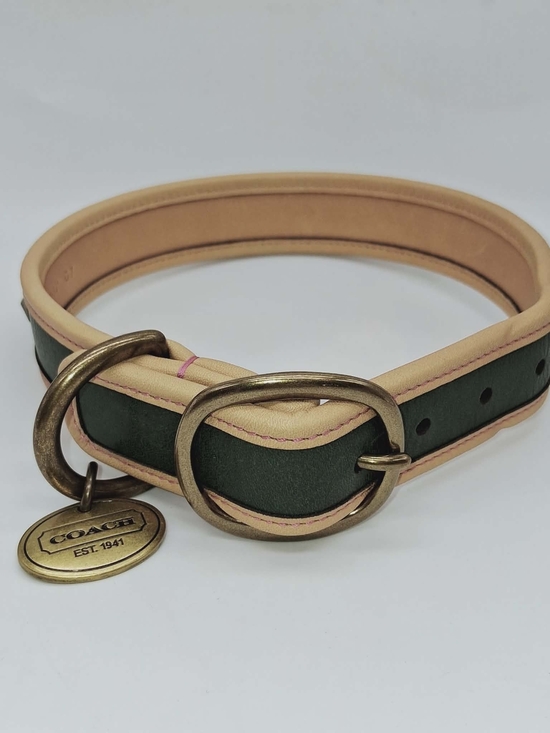 Coach Other - Coach Green and Natural Leather Dog Collar with Brass Medallion